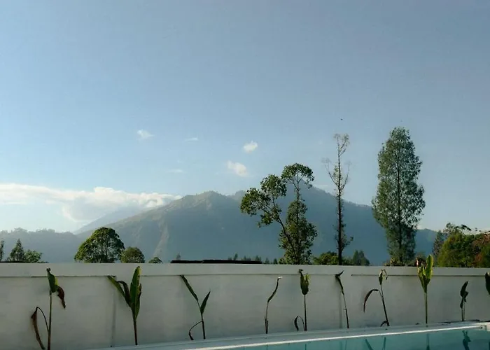 Montana By Volcano Garden 3*