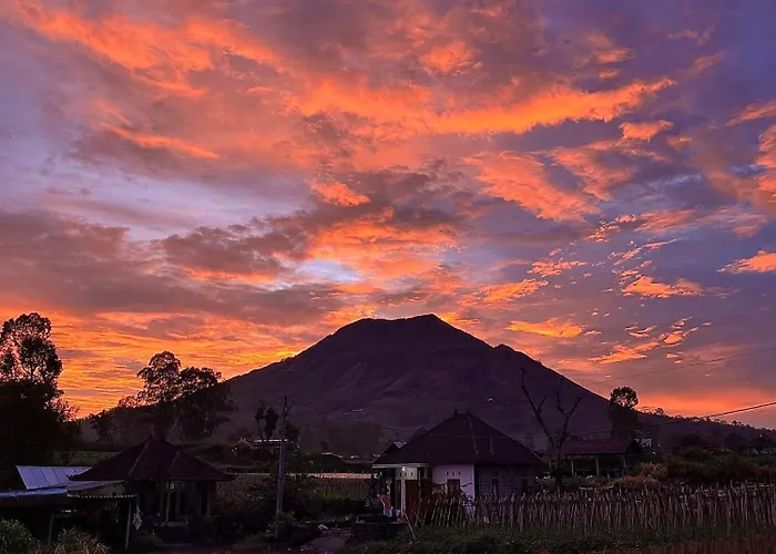 Montana By Volcano Garden 3*